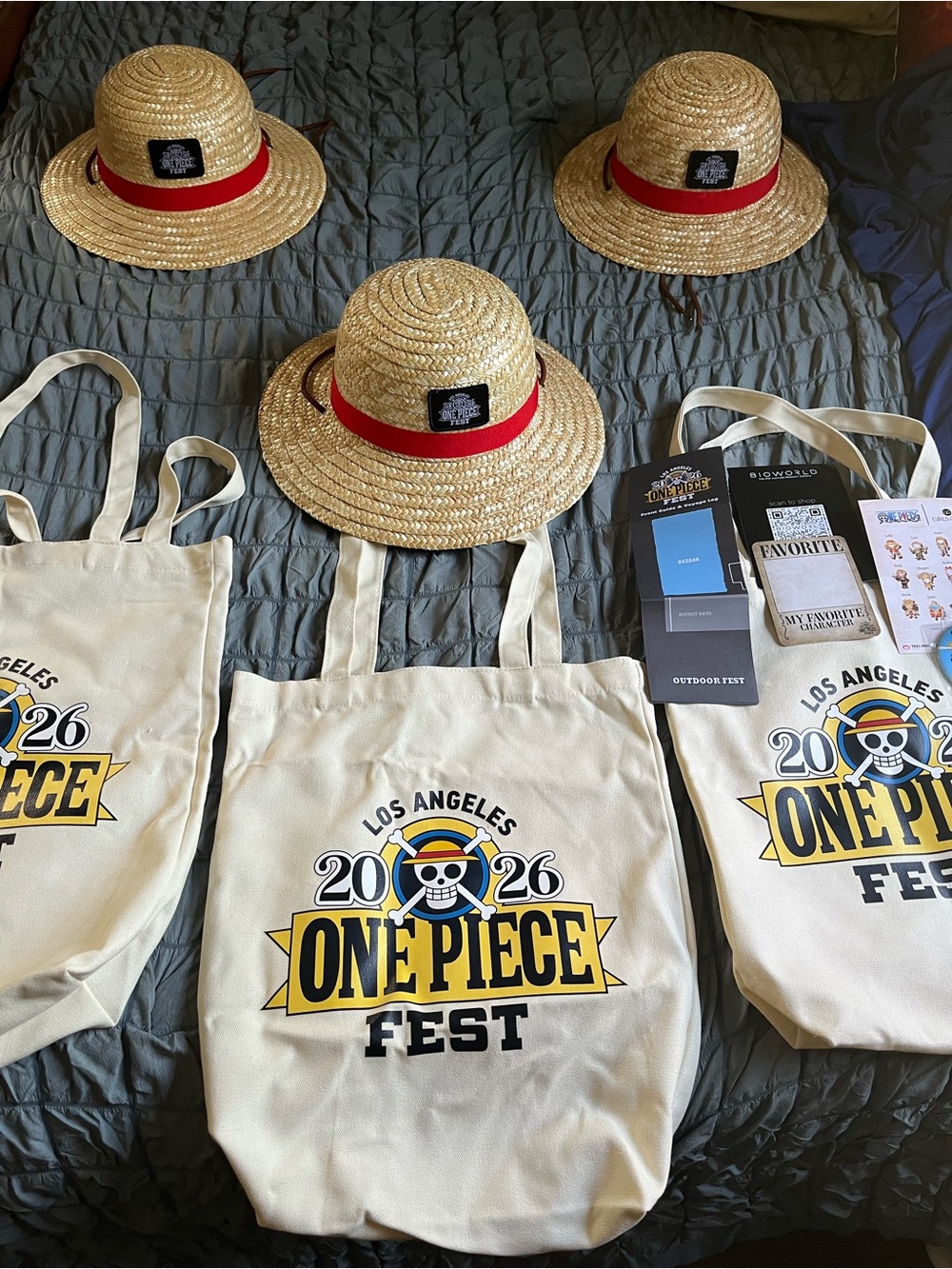 One Piece fest Hat & Tote bag